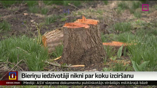 Bieriņu iedzīvotāji nikni par koku izciršanu