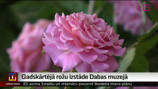 Gadskārtējā rožu izstāde Dabas muzejā