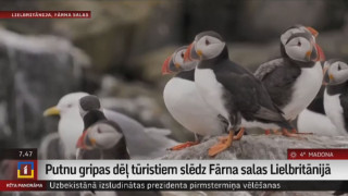 Putnu gripas dēļ tūristiem slēdz Fārna salas Lielbritānijā