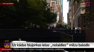 Uz kādas Ņujorkas ielas "nolaidies" milzu balodis