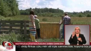 Vilku populācija Latvijā rada zaudējumus zemnieku saimniecībām