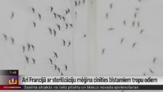 Arī Francijā ar bīstamiem tropu odiem mēģina cīnīties ar sterilizāciju