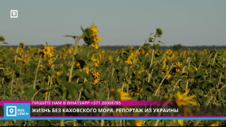 Жизнь без Каховского моря. Репортаж из Украины