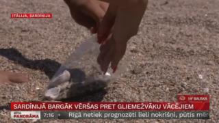 Sardīnijā bargāk vēršas pret gliemežvāku vācējiem