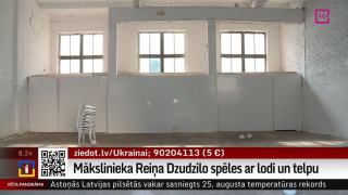 Mākslinieka Reiņa Dzudzilo spēles ar lodi un telpu