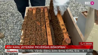 ASV kara veterāni pievēršas biškopībai
