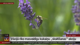 Vācijā rīko masveidīgu kukaiņu "skaitīšanas" akciju