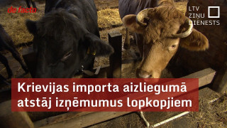 Krievijas importa aizliegumā atstāj izņēmumus lopkopjiem
