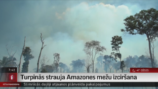 Turpinās strauja Amazones mežu izciršana