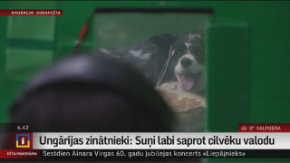 Ungārijas zinātnieki: Suņi labi saprot cilvēku valodu