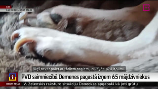 PVD saimniecībā Demenes pagastā izņem 65 mājdzīvniekus