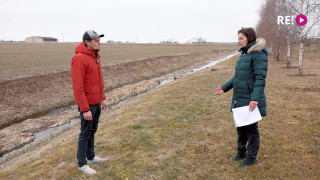 Zemnieku saimniecības "Veģi" saimniece Inese Karlova par putnu nodarītajiem postījumiem