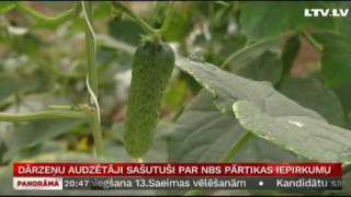 Dārzeņu audzētāji sašutuši par NBS pārtikas iepirkumu