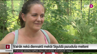 Vairāk nekā diennakti meklē Siguldā pazudušo meiteni
