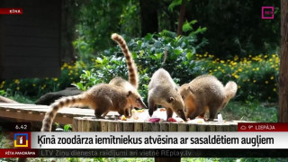 Ķīnā zoodārza iemītniekus atvēsina ar sasaldētiem augļiem