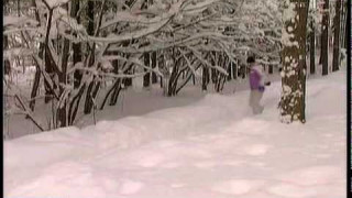 Tallinā pēdējās desmitgades biezākais sniegs