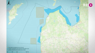 Vai apaļā jūras grunduļa apetīte apdraud Baltijas jūru?