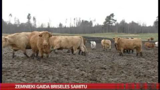 Zemnieki gaida Briseles samitu
