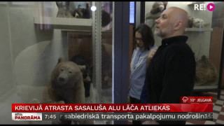 Krievijā atrasta sasaluša alu lāča atliekas
