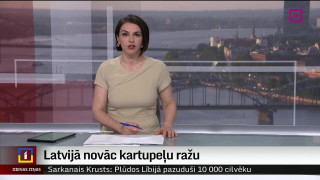 Latvijā novāc kartupeļu ražu