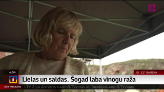 Šogad Latvijā laba vīnogu raža