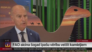 FAO aicina šogad īpašu vērību veltīt kamieļiem