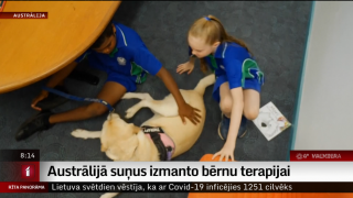 Austrālijā suņus izmanto bērnu terapijai