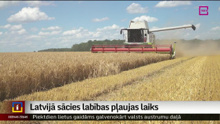 Latvijā sācies labības pļaujas laiks