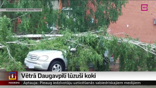 Vētrā Daugavpilī lūzuši koki