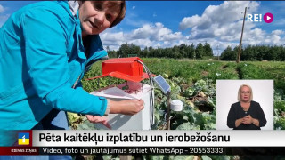 Pēta kaitēkļu izplatību un ierobežošanu