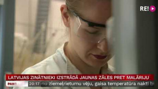 Latvijas zinātnieki izstrādā jaunas zāles pret malāriju