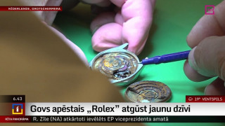 Govs apēstais "Rolex" atgūst jaunu dzīvi