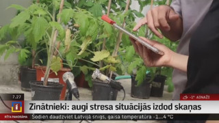 Zinātnieki: augi stresa situācijās izdod skaņas