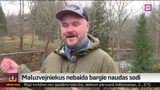 Maluzvejniekus nebaida bargie naudas sodi