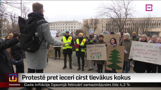 Protestē pret ieceri cirst tievākus kokus