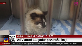 ASV atrod 11 gadus pazudušu kaķi