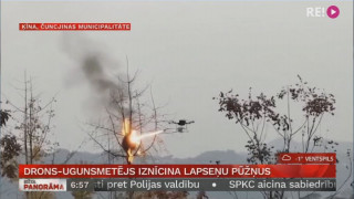 Drons-ugunsmetējs iznīcina lapseņu pūžņus