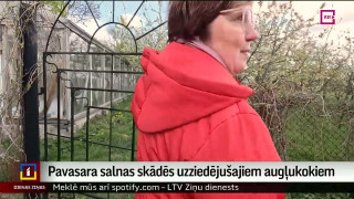 Pavasara salnas skādēs uzziedējušajiem augļu kokiem