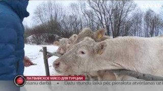 Латвийское мясо для Турции
