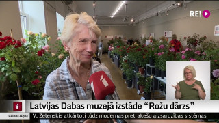 Latvijas Dabas muzejā izstāde “Rožu dārzs”