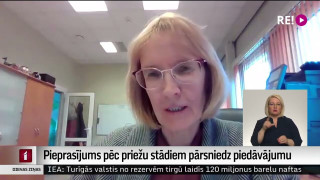 Pieprasījums pēc priežu stādiem pārsniedz piedāvājumu