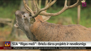 "Rīgas meži": Briežu dārza projekts ir neveiksmīgs