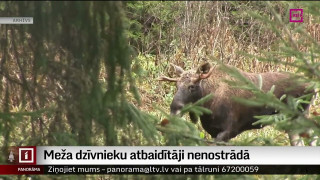 Mežā dzīvnieku atbaidītāji no ceļiem nenostrādāja