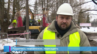 Разделить невозможно, пересадить