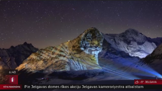 Kalnos Šveicē izveido milzu tīģera projekciju