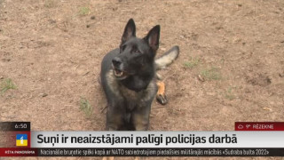 Suņi ir neaizstājami palīgi policijas darbā