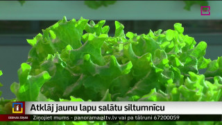 Jaunmārupē atklāj jaunu lapu salātu siltumnīcu