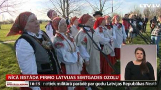 Nīcā iestāda pirmo Latvijas simtgades ozolu