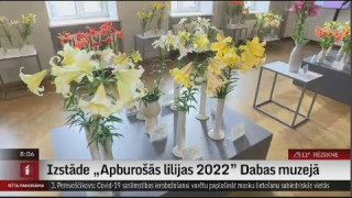 Izstāde "Apburošās lilijas 2022" Dabas muzejā