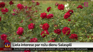 Liela interese par rožu dienu Salaspilī